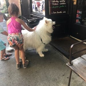 Meet your Posher, Yulan